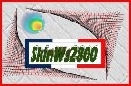 Skin2800